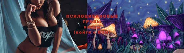 ПСИЛОЦИБИНОВЫЕ ГРИБЫ Семикаракорск