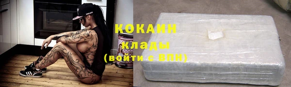 шишки Сафоново