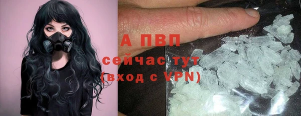 ГАЛЛЮЦИНОГЕННЫЕ ГРИБЫ Семилуки