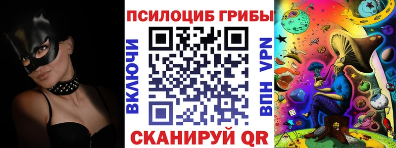 blacksprut Тихвин Галлюциногенные грибы мицелий