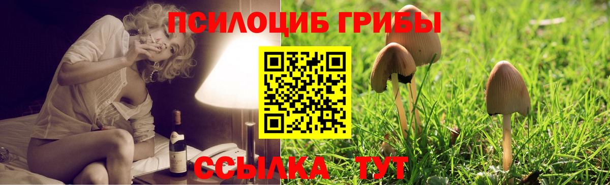 Галлюциногенные грибы MAGIC MUSHROOMS  Вход с VPN  Тихвин 