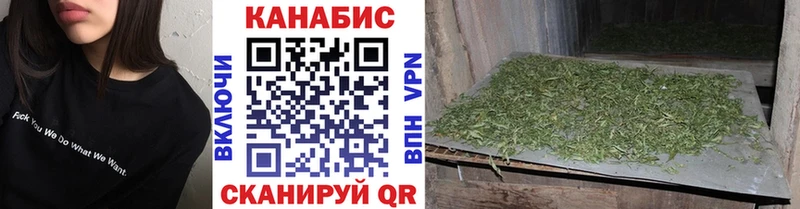 Шишки марихуана план  магазин    Тихвин 