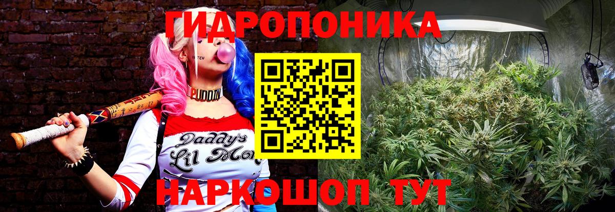 Канабис VHQ Тихвин